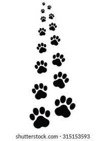 Trail forward of footsteps of cat, vector illustration