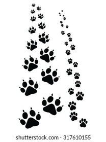 Trail forward of footsteps of cat, vector illustration