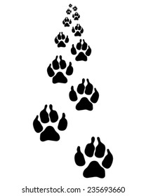 Trail forward of footsteps of dogs 2, vector illustration