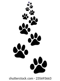 Trail forward of footsteps of dogs 3, vector illustration