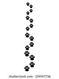 Trail forward of footsteps of dogs, vector illustration