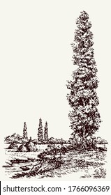 Trail to high aspen scene on light overcast backdrop. Freehand line black ink hand drawn picture sketchy in retro painting artistic etched print style pen on paper text space. Summertime scenery view
