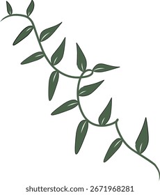 Videira à direita com folhas verdes, ilustração botânica decorativa.