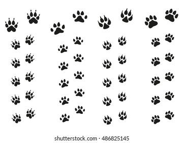Trails of animals steps isolated on white background. Paw Print.