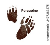 Trails of porcupine with inscription. Icon of hedgehog traces, tracks. Print of front and back paws of rodent. Silhouettes of wild animals