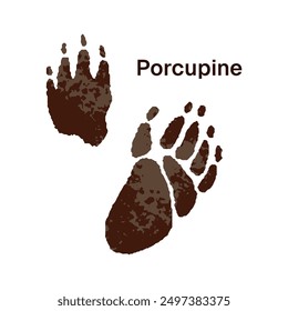 Trails of porcupine with inscription. Icon of hedgehog traces, tracks. Print of front and back paws of rodent. Silhouettes of wild animals' claws on ground. Flat isolated vector illustration on white