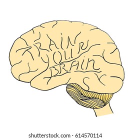 Train your brain hand drawn motivational poster where words form convolutions. Stock vector illustration in ink with brain silhouette and inspirational quote.