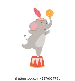 Trained circus elephant character performs in show, cartoon flat vector illustration isolated on white background. Elephant entertaining public in circus.