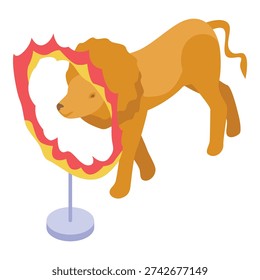 Trained lion jumping through a flaming hoop at the circus