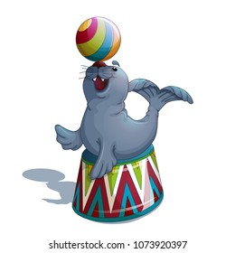 A trained merry seal or fur seal sits on a circus stand and holds a bright striped ball on the nose. A circus character in the style of a cartoon. Vector Illustration.