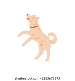 Trained playful dog or puppy bouncing flat cartoon vector illustration isolated on white background. Funny adorable and cute dog or puppy pet cartoon character.