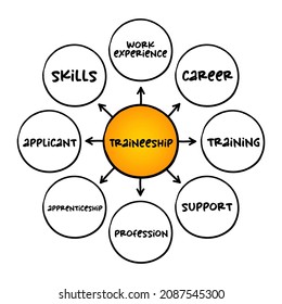 Traineeship - period when someone is trained in the skills needed for a particular job, mind map concept for presentations and reports