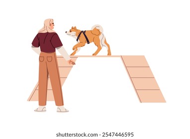 Trainer plays, training Akita Inu with agility equipment, ramp at park playground. Happy owner teaching her dog commands during walk outdoors. Flat isolated vector illustration on white background