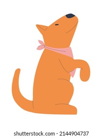 Training and education of pets. The dog stands on its hind legs. Flat vector illustration. Eps10