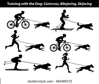 Training Training mit Hund: Cannicross, Fahrradjoring, Skijoring-Seidenset