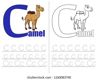 Training.  Learning to write letters. Recipe for preschoolers. For children and their parents. Illustrated English alphabet. Vector illustration. Letters. ABC.