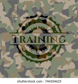 Training on camouflaged texture