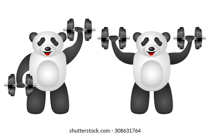 Training panda set on a white background. Vector illustration.