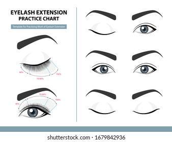 Training Poster, Practice Chart. Density of Eyelash Extension for Great Look. Eyelash Extension Guide. Infographic Vector Illustration