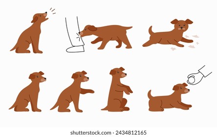 Training of young dogs. Bad and good behavior of the puppy, the execution of commands. Puppy in various poses isolated illustrations on a white background.