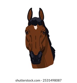 Trakehner horse breed, head portrait. Beautiful thoroughbred stallion face, front view. Equine animal avatar. Purebred Holsteiner. Flat graphic vector illustration isolated on white background