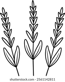 Tranquil Lavender Line Art Vector