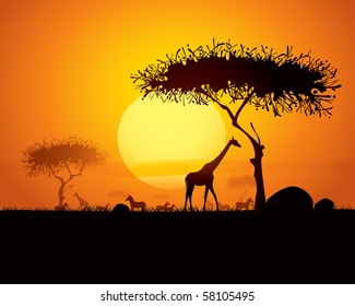 Tranquil sunset scene in africa.  Silhouette animals and trees in africa sunset background.