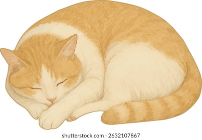 Tranquil vector illustration of an orange and white tabby cat sleeping soundly, curled up into a perfect circle. Comes with a transparent background for easy layering and customization