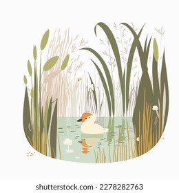 Une zone humide tranquille avec des cattails, de la sauvagine et des canaux cachés
