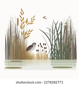 Une zone humide tranquille avec des cattails, de la sauvagine et des canaux cachés