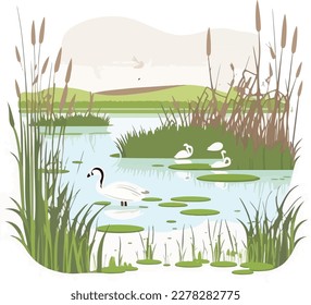 A tranquil wetland with cattails, waterfowl, and hidden channels