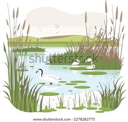 A tranquil wetland with cattails, waterfowl, and hidden channels