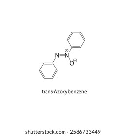 trans-Azoxybenzene skeletal structure.Azo Compound compound schematic illustration. Simple diagram, chemical formula.