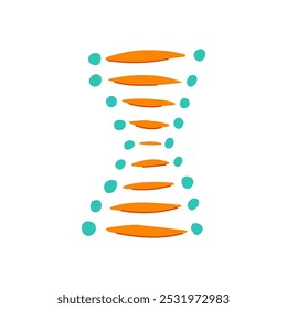 transcrição dna espiral cartoon. translação dupla hélice, basepairs adenina, timina citosina transcrição dna espiral sinal. símbolo isolado vetor ilustração