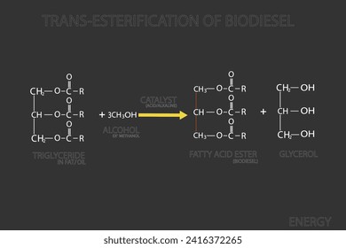 trans-esterification of biodiesel molecular skeletal chemical formula