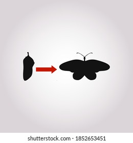 Transformation concept. Caterpillar, butterfly, and cocoon stages. Changes, personal growth icon. Symbol of metamorphoses