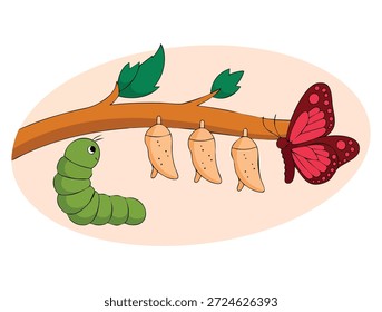Transformation concept flat vector illustration showing changing evolution metaphor modification process and time development for creative idea themes