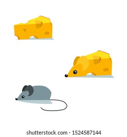 Transformation of a gray mouse logo and a piece of cheese into a single whole isolated on a white background. Vector image. logo design template.