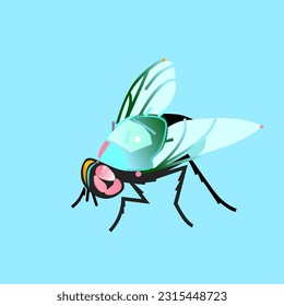 Transformer fly in light blue and green
