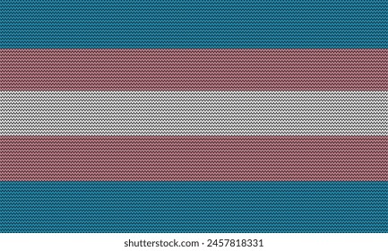 Transgender Flag. Light blue and pink are featured because they’re the traditional colors associated with baby boys and girls, respectively. 
The white stands for those who are intersex.