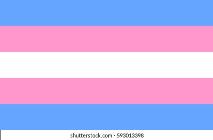 Transgender Flag Or Trans Banner With Blue And Pink Strips Vector