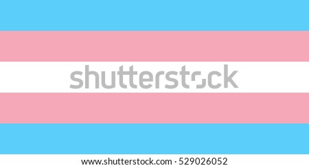 Transgender flag vector Foto stock © 