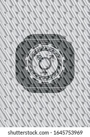 ícono transgénero dentro del emblema de plata o placa. Patrón de escalas. Ilustración vectorial. Detallado.