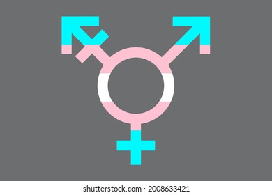 Transgender icon symbol with transgender flag inside. Vector illustration