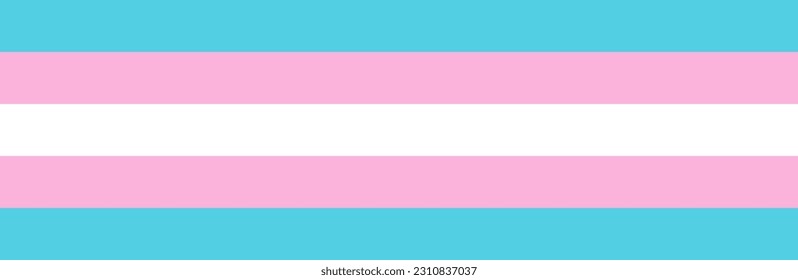 Transgender LGBTQ pride flag in vector isolated