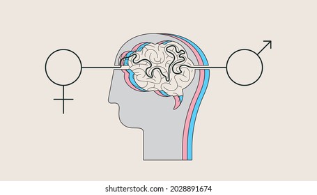 Transgender, process in the human brain. Female to male. Vector illustration, EPS 10