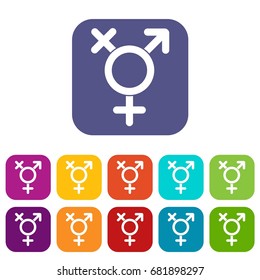 Transgender sign icons set vector illustration in flat style in colors red, blue, green, and other