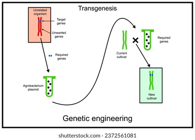 Transgenic genetic modification. Genetic engineering, also called genetic modification or genetic manipulation