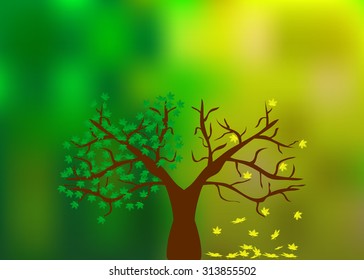the transition time of the year on the same tree from summer to fall. Half of the tree with green leaves, half fallen yellow leaves