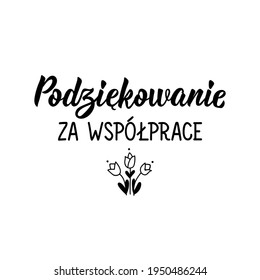 Translation from Polish: Thanks for your cooperation. Modern vector brush calligraphy. Ink illustration. Perfect design for greeting cards, posters, t-shirts, banners.